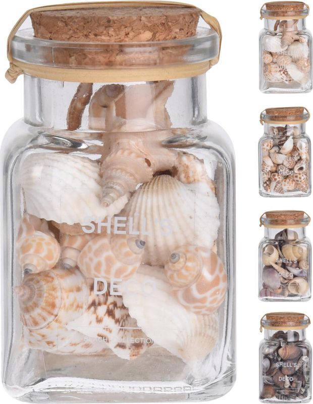 Skjell dekor 10x10cm glass 3ass